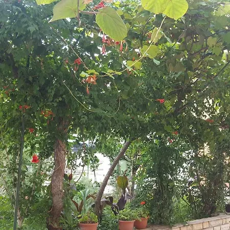 Ivanov Διαμέρισμα Ζαντάρ